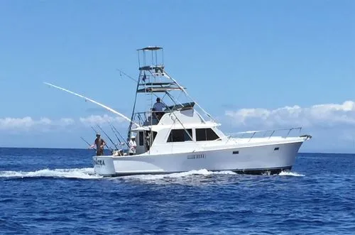 Bateau de pêche sportive Bateau de pêche sportive