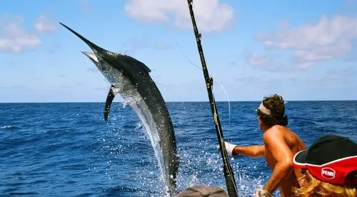 Pêche en haute mer Pêche en haute mer