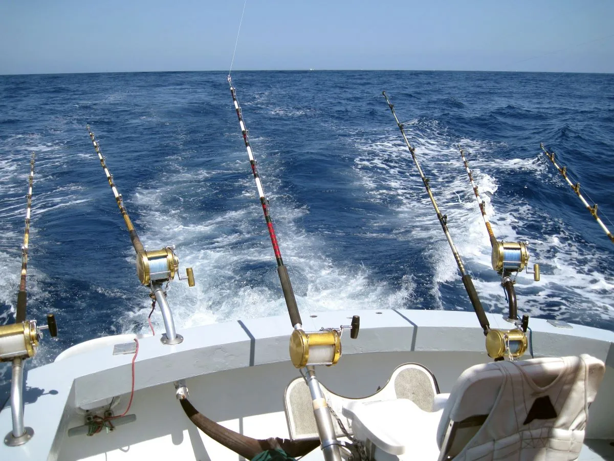 Bateau pour la pêche sportive en mer