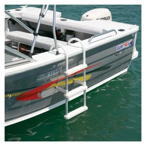 Plat bord de bateau avec échelle amovible