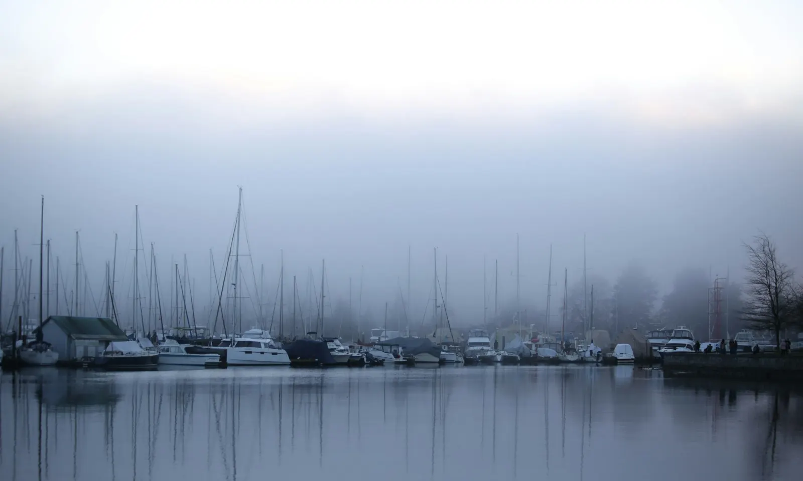 Voiliers amarrés dans un port noyé dans la brume, sur une eau calme